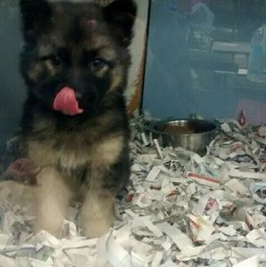 Meet your Posher, Bethany