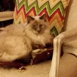 Meet your Posher, Kathy