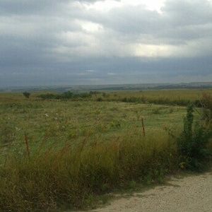 Meet your Posher, Ellen