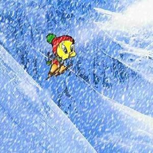 Meet your Posher, Malissa