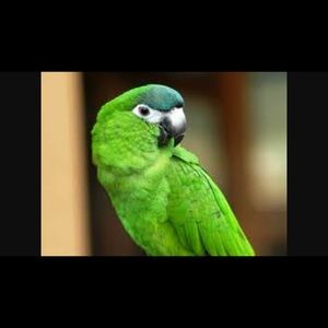 Meet your Posher, Judy