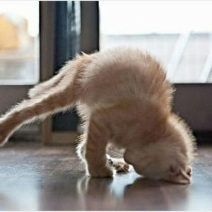 Meet your Posher, Michele