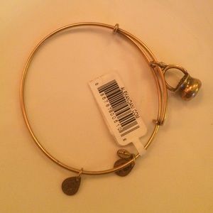 pot of gold Alex and Ani gold bracelet!!