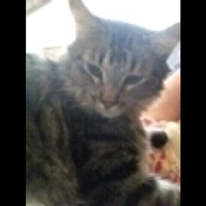 Meet your Posher, Sue