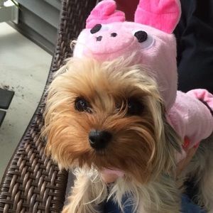 Meet your Posher, Mikayla