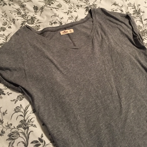 Gray Hollister T
