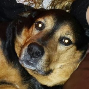 Meet your Posher, Delynda