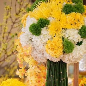 Meet your Posher, Kaitlyne