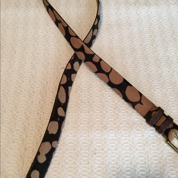 J.Crew hair calf leopard print belt - Picture 4 of 4