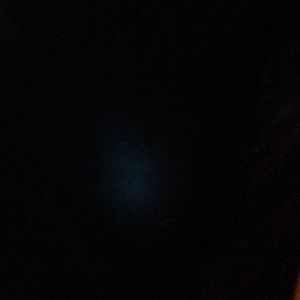 Meet your Posher, Marlene