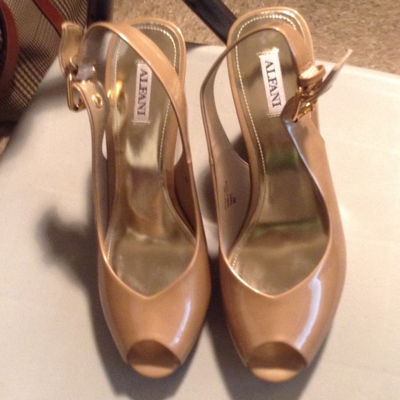 Alfani shoes