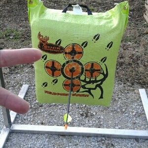 Meet your Posher, Sheila