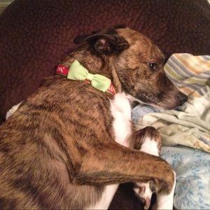 Meet your Posher, Beth