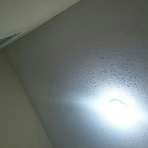 Meet your Posher, Brianeshia