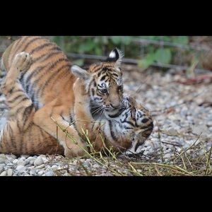 Meet your Posher, Brooke