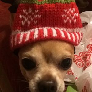 Meet your Posher, Tabitha