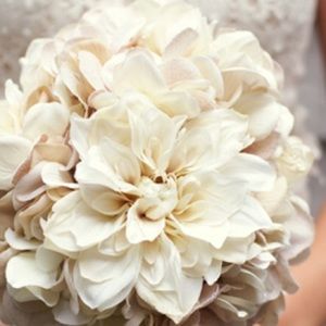 Meet your Posher, Yolanda