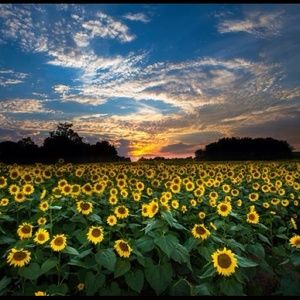 Meet your Posher, Patty