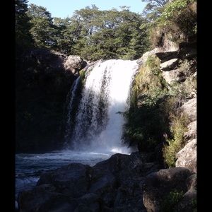 Meet your Posher, Toni