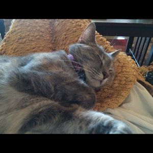 Meet your Posher, Emma