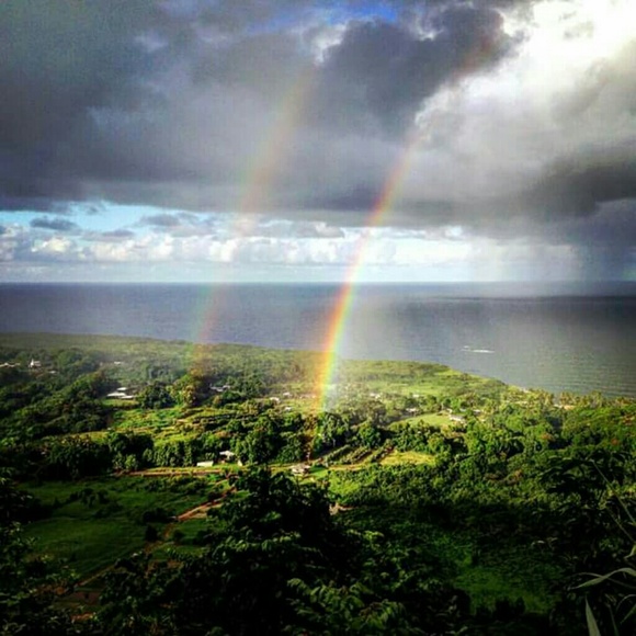 Maui bound, will be listing and selling everything