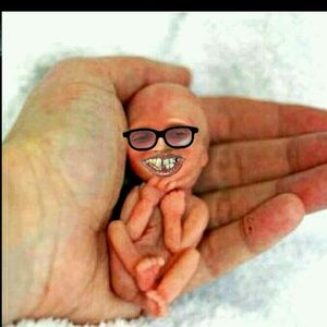 Meet your Posher, Jerry