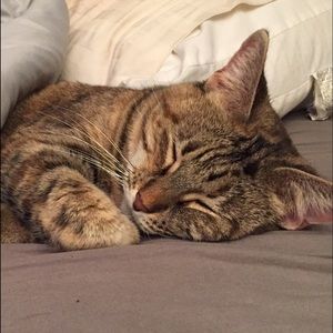 Meet your Posher, Nicole