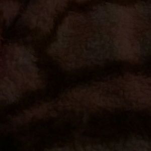 Meet your Posher, Dannielle