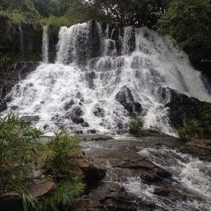 Meet your Posher, Jane