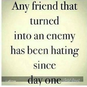 Meet your Posher, Roz