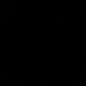 Meet your Posher, Joni