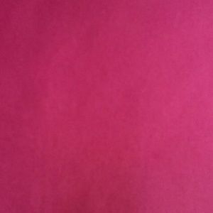 Meet your Posher, Chloe