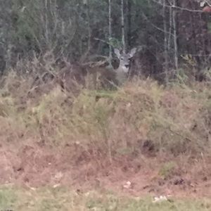 Meet your Posher, Mayank