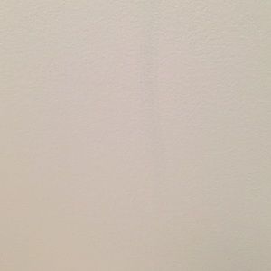 Meet your Posher, Jaime