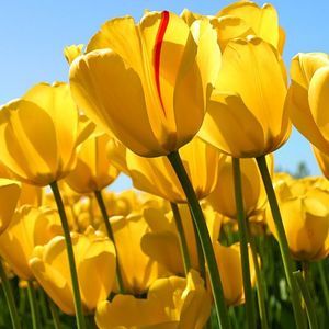 Meet your Posher, Stacy