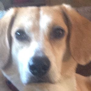 Meet your Posher, Sheri