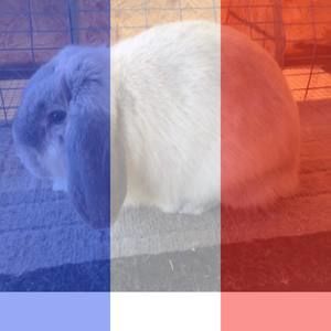 Meet your Posher, Shyann