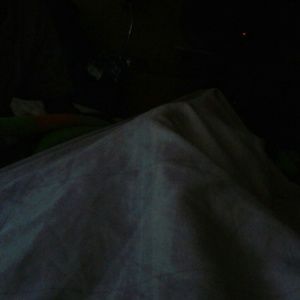 Meet your Posher, Elisabeth