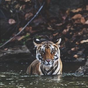 Meet your Posher, Scott