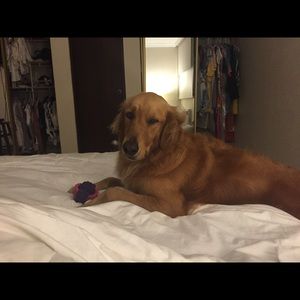 Meet your Posher, Maria