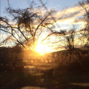 looking for Jack Rogers in size 10!!