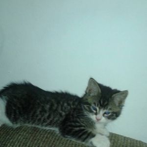 Meet your Posher, Jocelyn