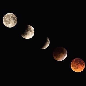 Meet your Posher, Alexandra