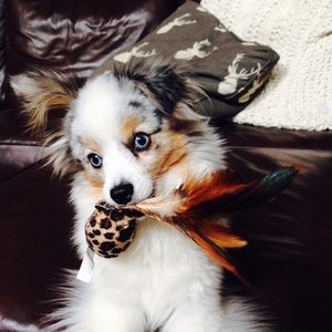 Meet your Posher, Deanne