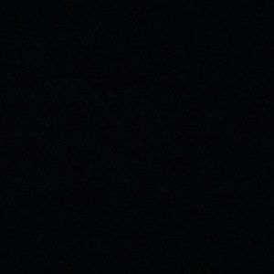 Meet your Posher, Evelyn