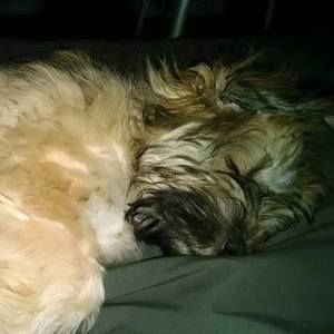 Meet your Posher, Donna