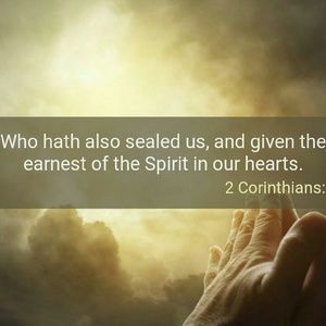 Meet your Posher, Viola