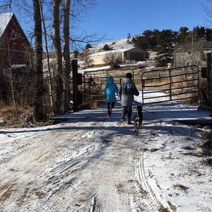 Meet your Posher, Mandi