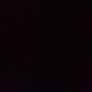 Meet your Posher, Larajanae