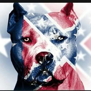 Meet your Posher, Teri